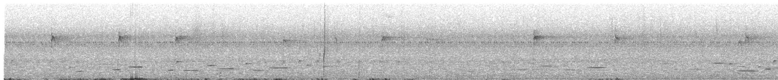 Troglodyte arada - ML242744071