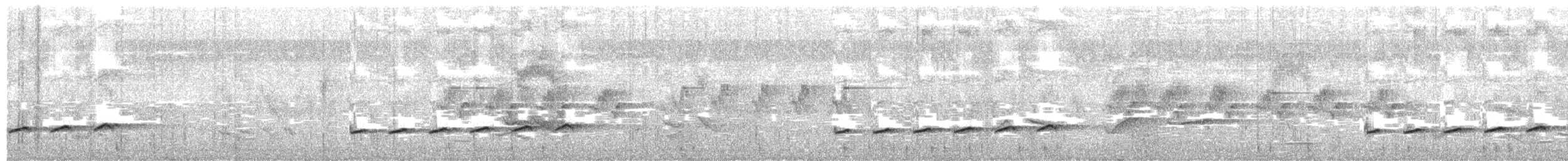 Coucou à queue fourchue - ML242744081