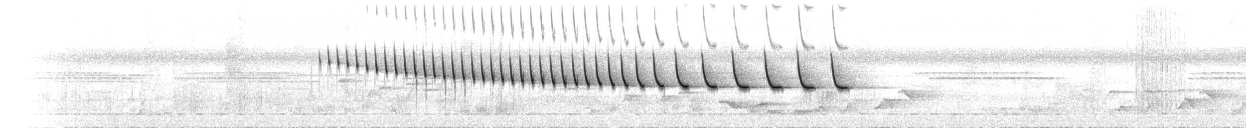 Mantelschwärzling - ML242754471