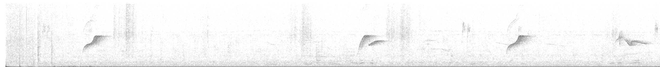 Batı Amerika Sinekkapanı (occidentalis/hellmayri) - ML242755741