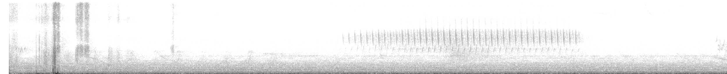 Chipping Sparrow - ML242759941