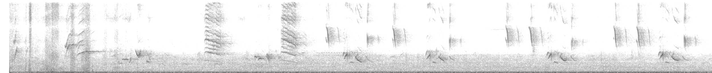 Gray Catbird - ML242759981