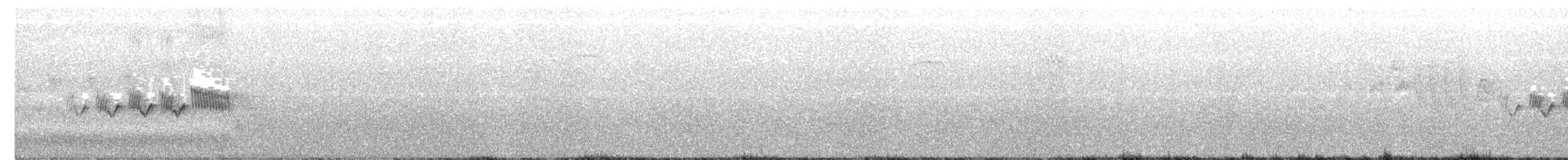 Cerulean Warbler - ML242767081