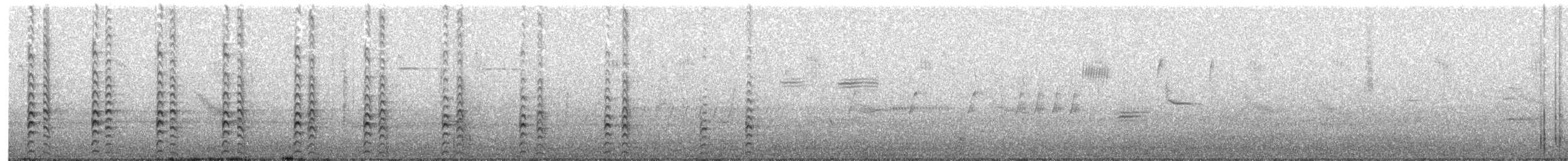 Gallinule d'Amérique - ML242769431