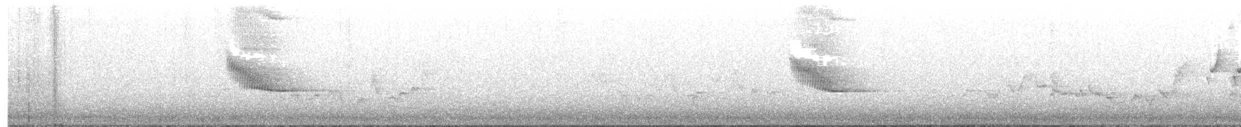 Reinita Protonotaria - ML242770201