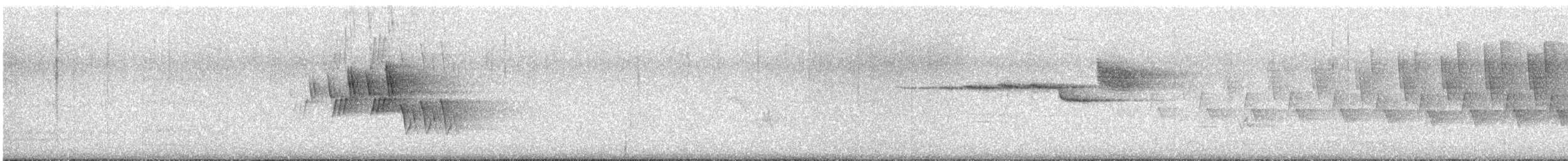 Черногорлая хвойница - ML242771621