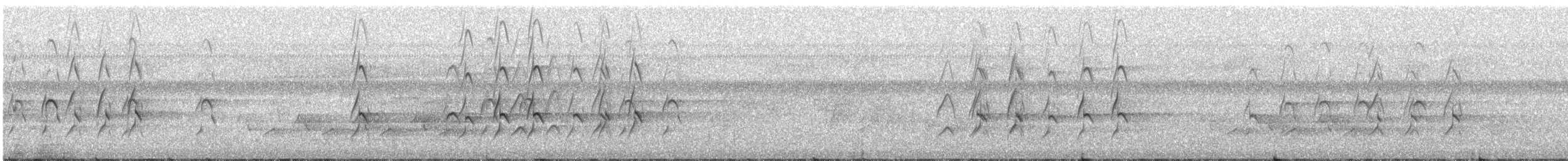 Swallow-tailed Kite - ML242775041