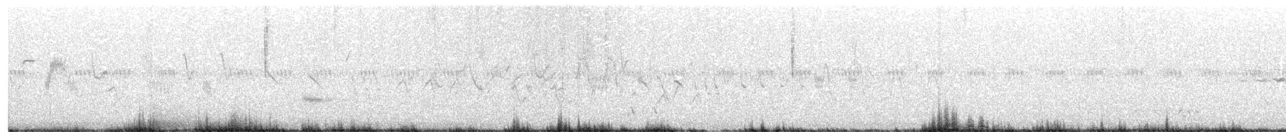 Prairie Warbler - ML242777021