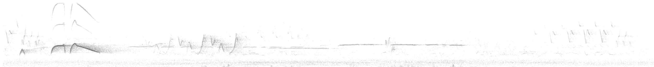Boreal Sinekkapan - ML242795811