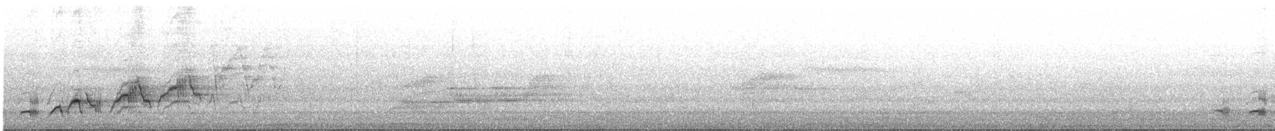 Tordo di Swainson - ML242804061