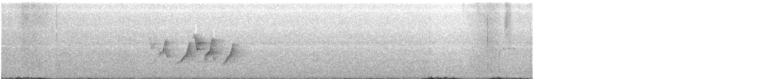 svartbrystparula - ML242805161
