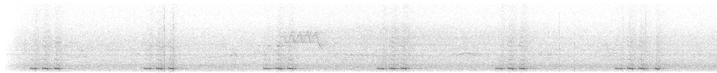 Black-billed Cuckoo - ML242806351