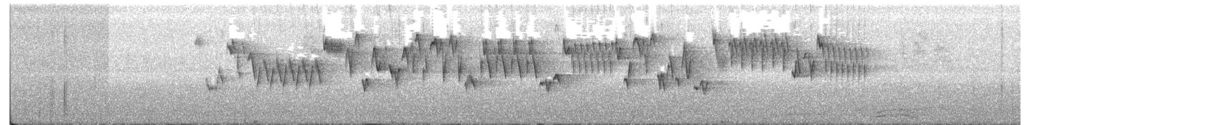 Pazifikzaunkönig - ML242807411