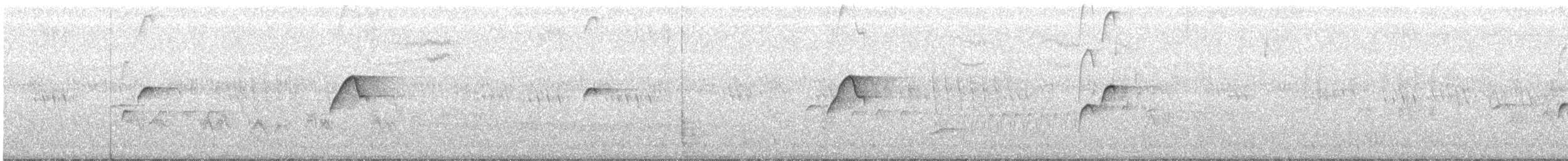 Batı Amerika Sinekkapanı (occidentalis/hellmayri) - ML242807791