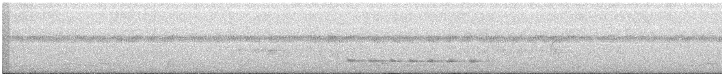 Chotacabras Pachacua - ML242807801