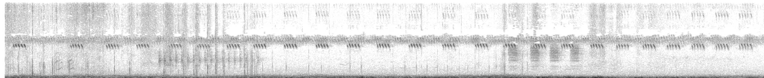 Flötenstärling - ML242815171