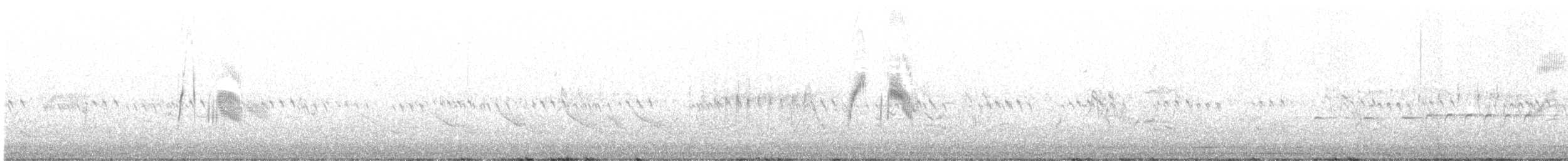 Ивовый мухолов - ML242816061