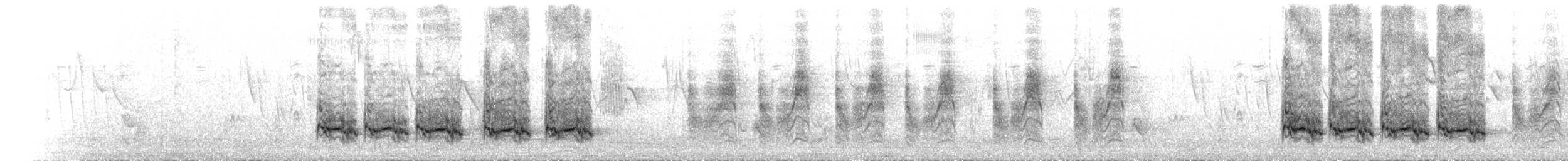 Pie-grièche à dos noir - ML242822181