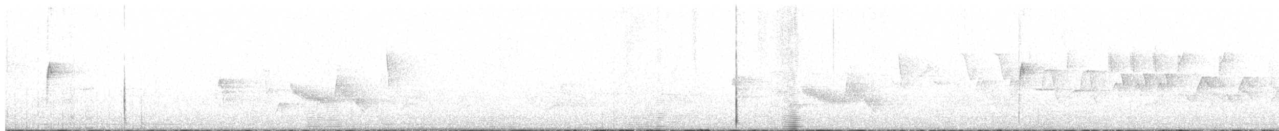 Белогорлая зонотрихия - ML242830081