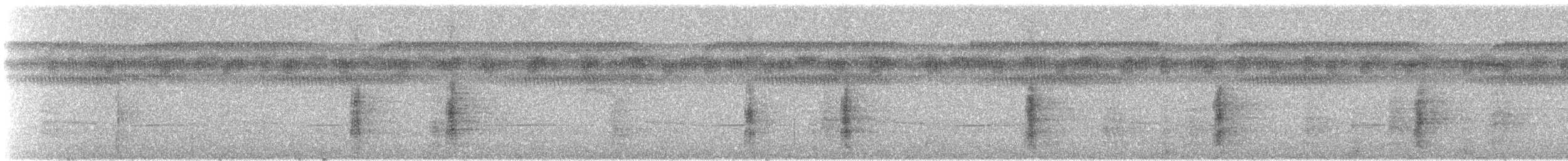 gråvingetrompetfugl - ML242832581