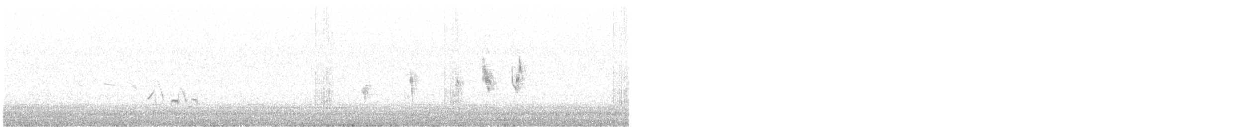 skjoldspurv - ML242832631