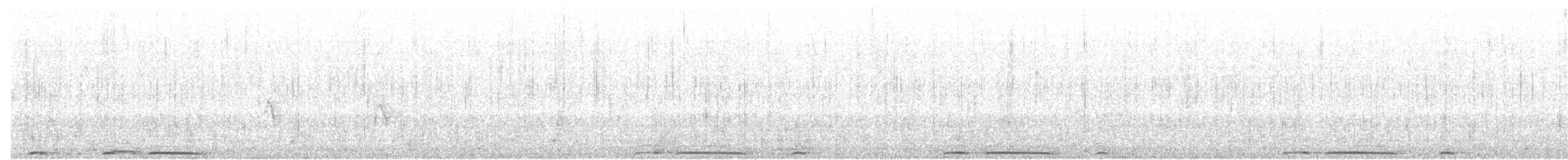 Eurasian Collared-Dove - ML242834451