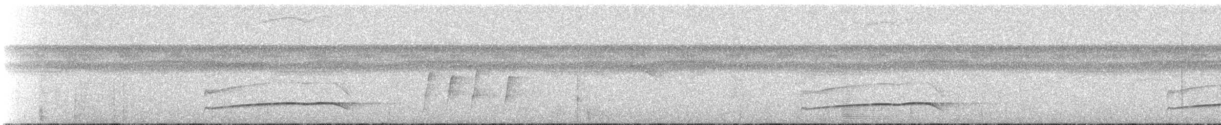 Rufous-tailed Flatbill - ML242840561