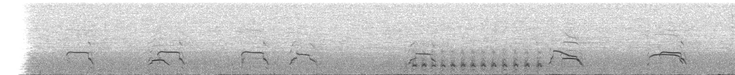 Kara Göğüslü Dağ Şahini - ML242845561