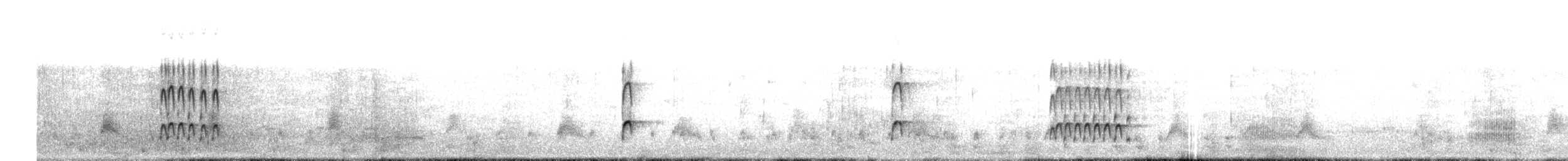 Blackish Oystercatcher - ML242849541