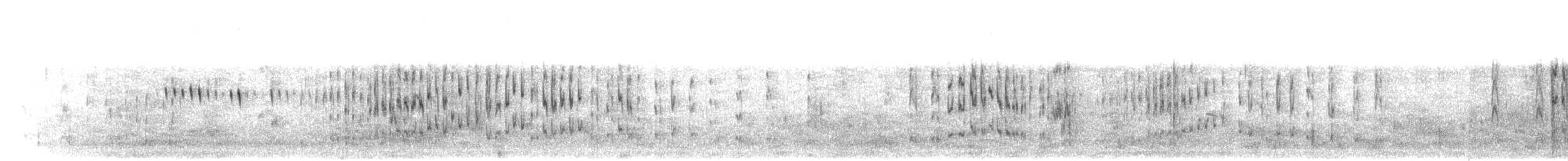 Трясохвіст острівний - ML242852681