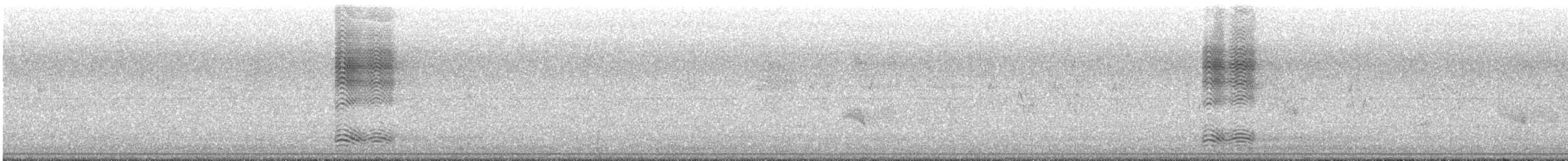 Corneille de rivage - ML242875291
