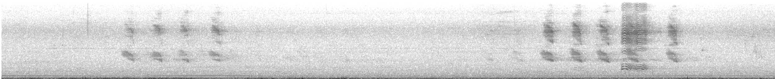 Лодкохвостый гракл - ML242875321