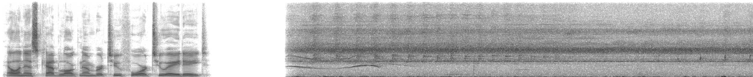 Тиран-плоскодзьоб темнохвостий - ML24288