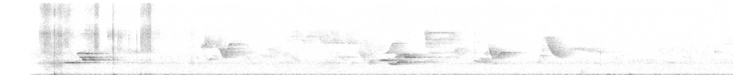 Wood Thrush - ML242885901