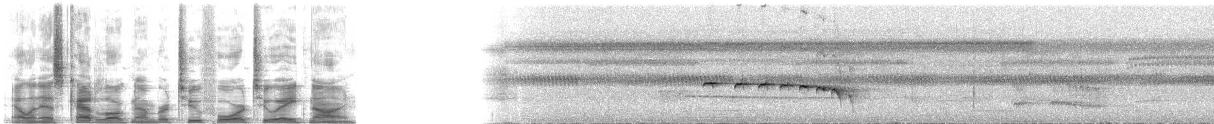 sørkastanjemaurfugl (hemimelaena) - ML24289