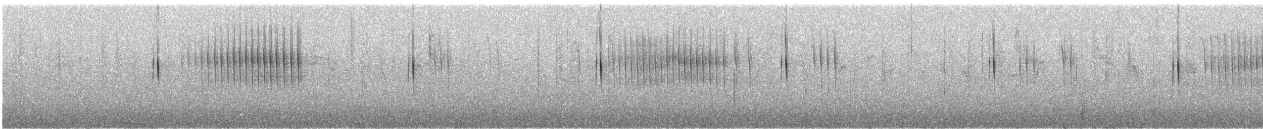 Kestane Kanatlı Sinklot - ML242898