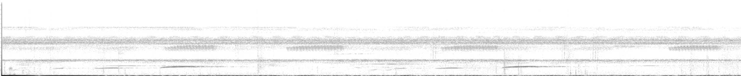 Black Cuckoo - ML24290421