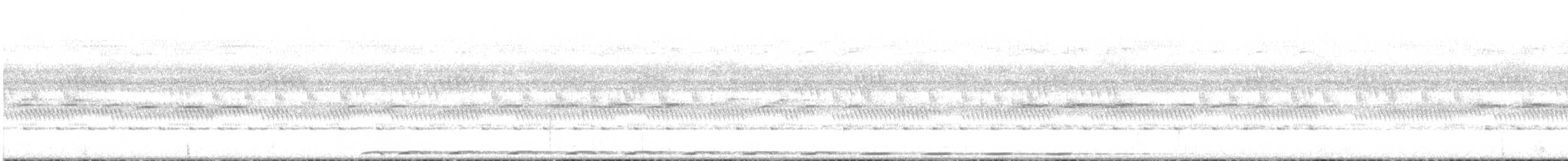 Black-throated Coucal - ML24290581