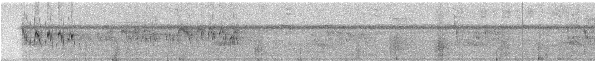 Гвианский иглохвост (occidentalis) - ML242915
