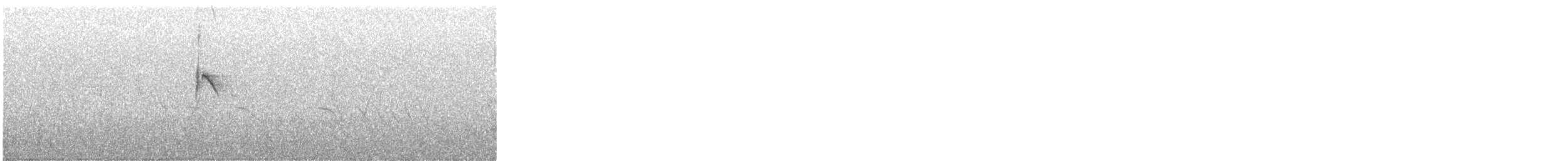 Eastern Kingbird - ML242931111