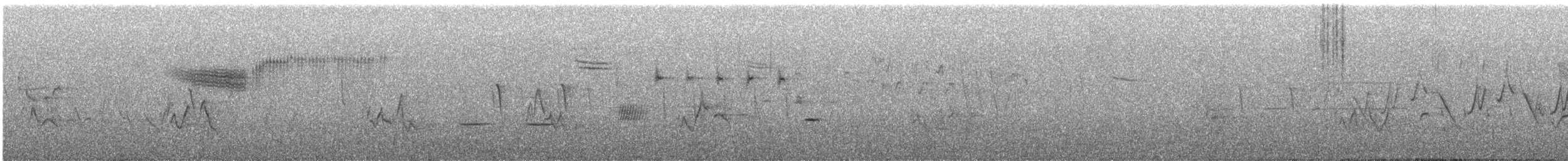 Blue-winged Warbler - ML242933031