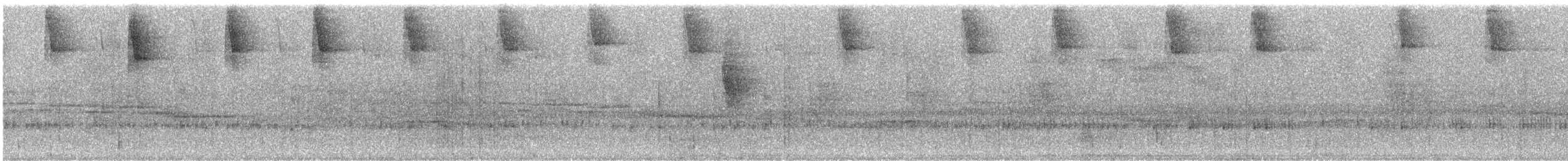 Weißband-Sonnennymphe - ML242941