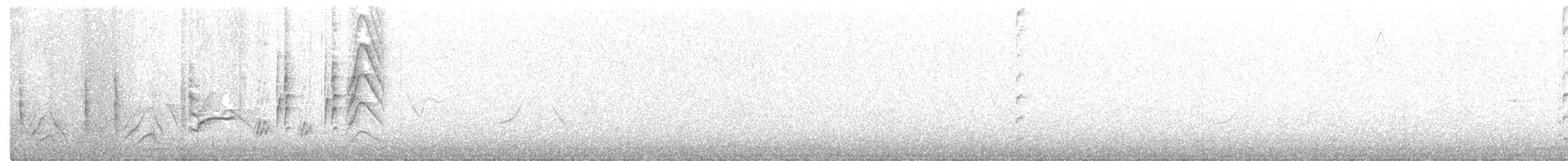 Icterine Warbler - ML242941511