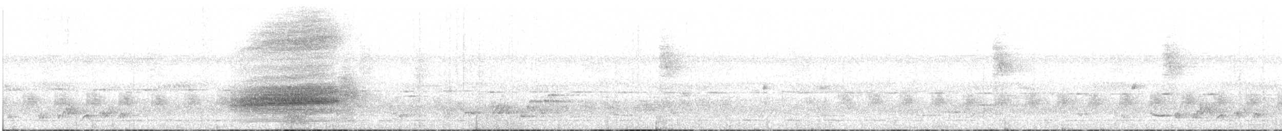 bergbuskvarsler (poensis) - ML24294541