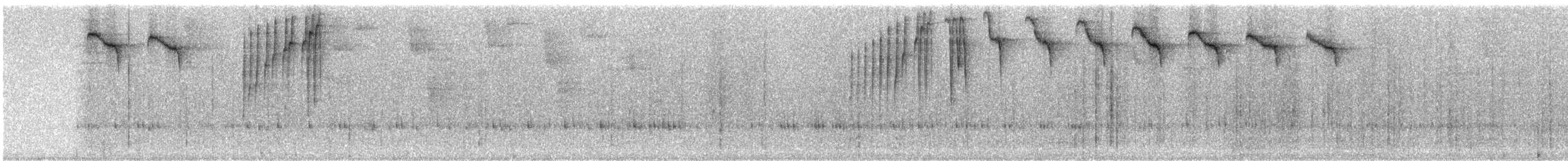 Weißband-Sonnennymphe - ML242946