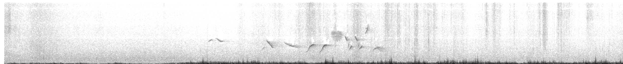 Fox Sparrow - ML242955201