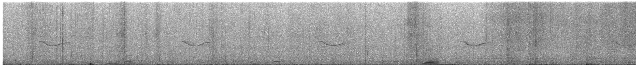 Gray-streaked Honeyeater - ML242974831