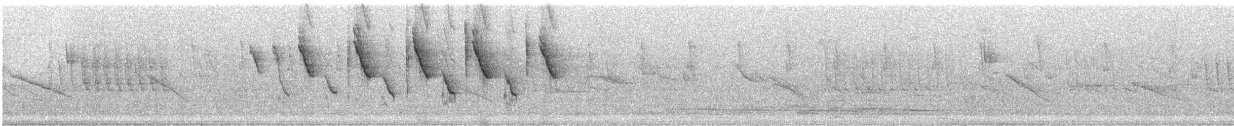 Tangara fourchu (darwinii) - ML242985