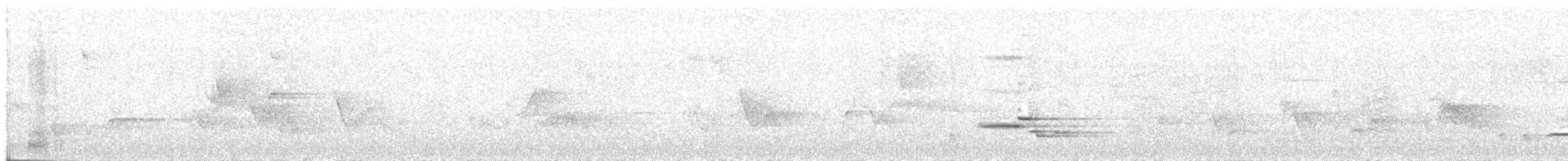 Wood Thrush - ML242987751