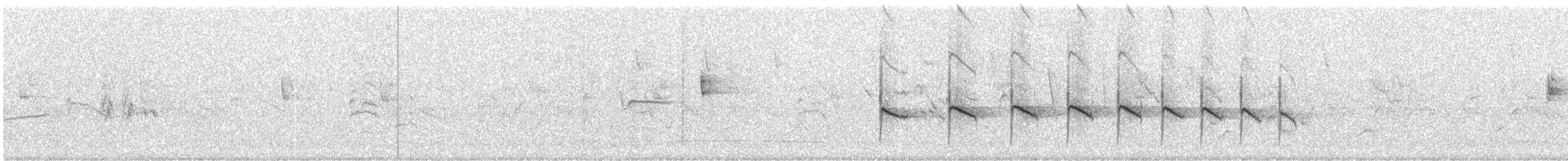 Güneyli Bıyıksız Tiranulet [obsoletum grubu] - ML242988